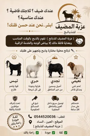 ذبابيح للبيع