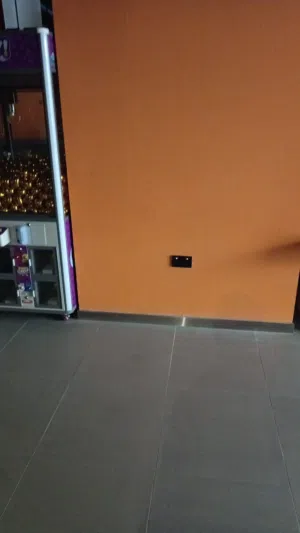 Electrcion services