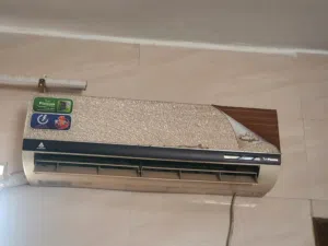 سبلت الحافظ ا طن