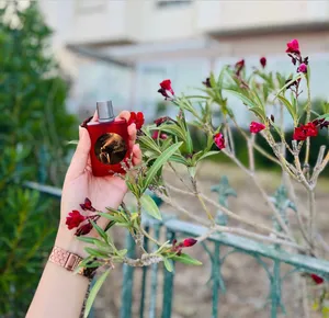 ‏عطور ‏.‏ جديد‏1