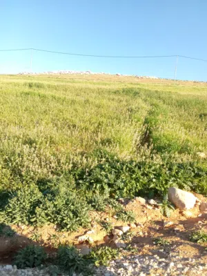 Mixed Use Land for Sale in Mafraq Bala'ama