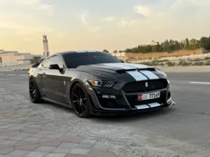 2016 Ford Mustang GT Full Option Shelby Body Kit