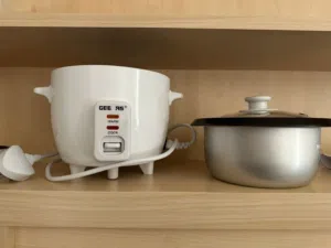 GEEPAS rice cooker 0.6L