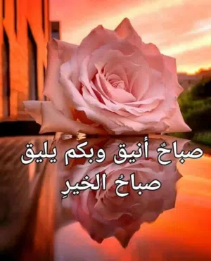 mhmad Nn 