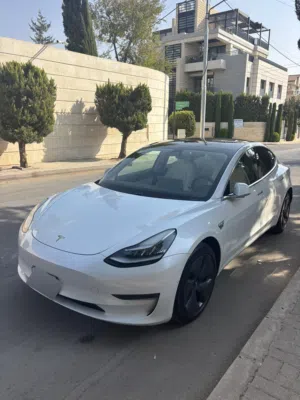 Tesla model 3 standard plus 2019
