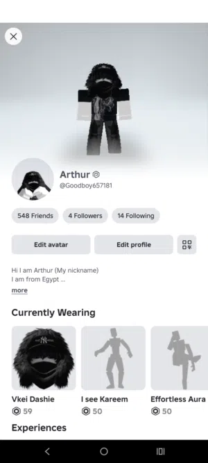 Roblox Accounts and Characters for Sale in Cairo
