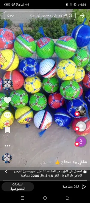 الزعيم 