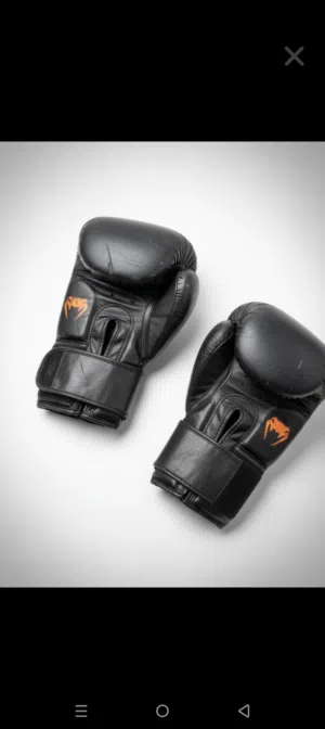 Gants de boxe Venom 12Oz