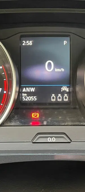 تيجوان-ترخيص-20-فل-الفل