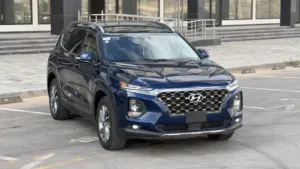 Hyundai santafe 2020