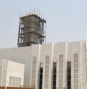 زهرهالريحان 