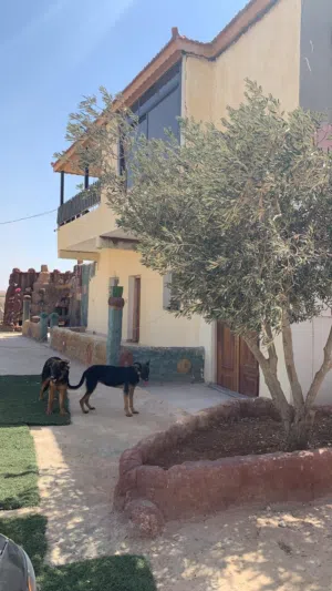 مزرعة للبيع