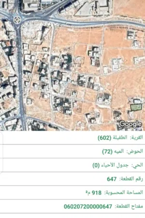 Residential Land for Sale in Tafila Al-Ayes