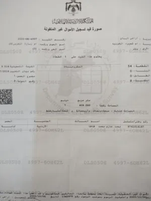 أرض للبيع مادبا ذيبان
