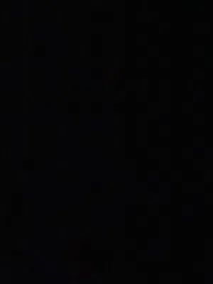 مطلوب فروخ روز غر الي عنده يتواصل معاي عل واتساب