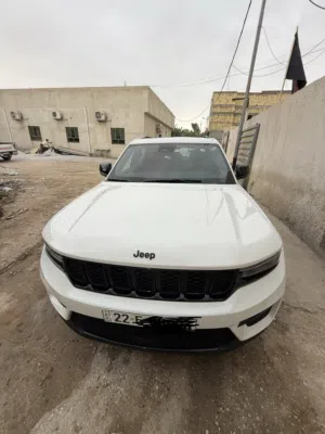 جيب كراند شيروكي 2023 كفاله عامه  حماية PPF