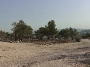 Residential Land for Sale in Amman Badr Jdedeh