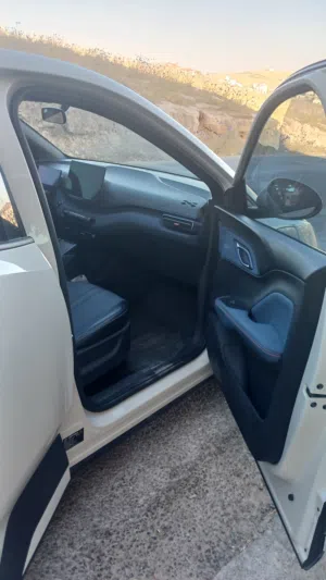 Used BYD Seagull in Amman