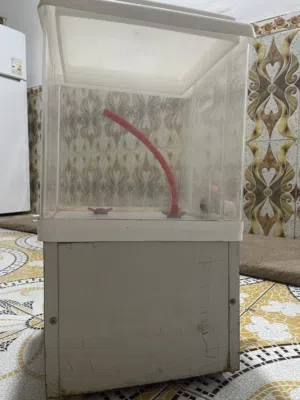 مال عصير مواكب