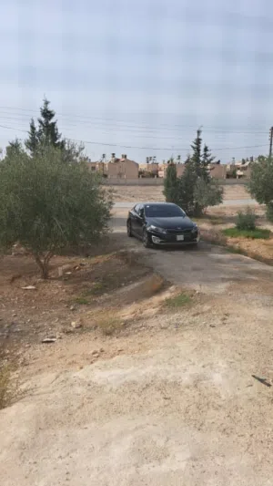 Kia . K5 . 2013 . New0