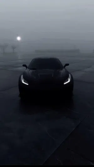 فتحي بن ناجي 