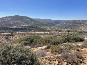 Mixed Use Land for Sale in Ramallah and Al-Bireh Qarawat Bani Zeid