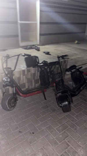 سكوترين 2 scooter هارلي Harley