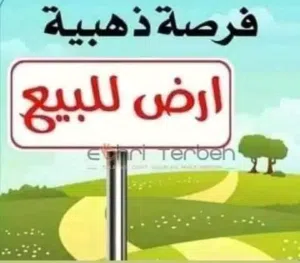 قطعتين أرض للبيع خلف جامعة ناصر ملك مقدس