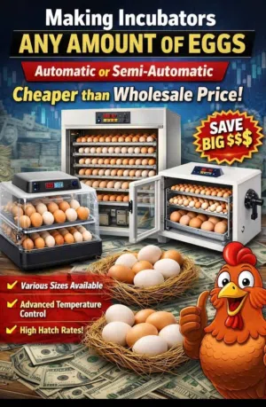 manual incubator