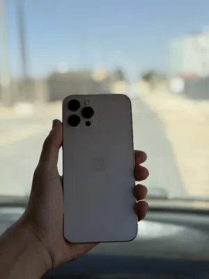 12 برو ماكس 256 قيقا