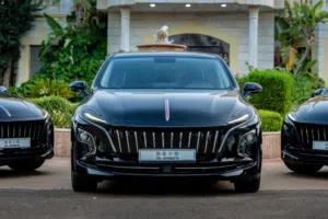 Used Hongqi E-QM5 in Amman
