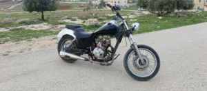 هارلي ديفيدسون . أخرى . 20024