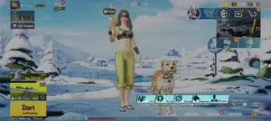 حساب ببجي للبيع
