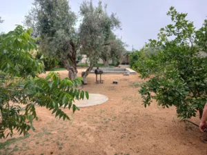 2 Bedrooms Farms for Sale in Tripoli Gasr Garabulli