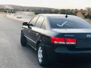 2006  sonata