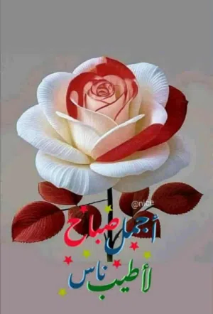 مهدي عبيد صالح 