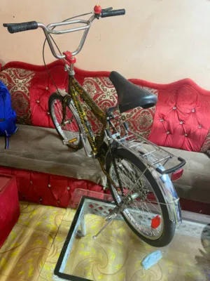 new cycle for toddlers