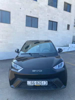 Used BYD Seagull in Amman