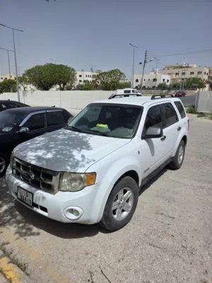 Used Ford Escape in Amman
