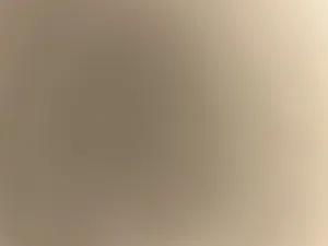 مقهى وجبات يمنية/فرصة استثمارية مميزة