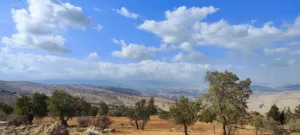 Farm Land for Sale in Zarqa Al-Alouk