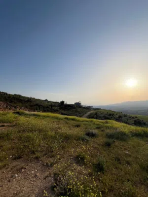 Farm Land for Sale in Jerash Unaybah