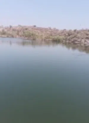 عدنان محمد محمد الجنيد 