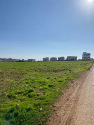 Residential Land for Sale in Amman Salem
