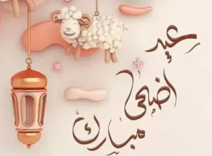 للمشاركة سكن غرفه ايجار 70دينار