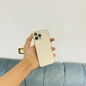 iPhone 13Pro Max