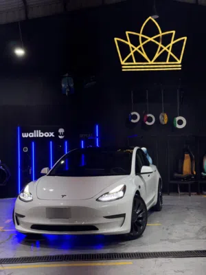 Tesla model 3 dual motor 2021 - 550 range  Performance wheels