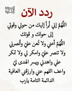 عمرو الزفتاوى 