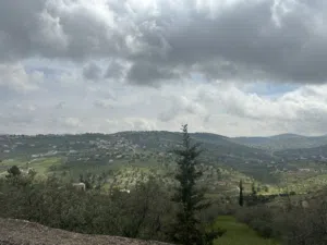 Farm Land for Sale in Zarqa Sarout