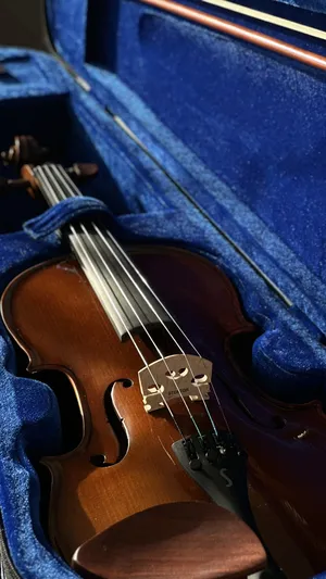 كمان بريطاني ستينتور  Stentor violin